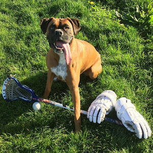 Meet your Posher, Seth